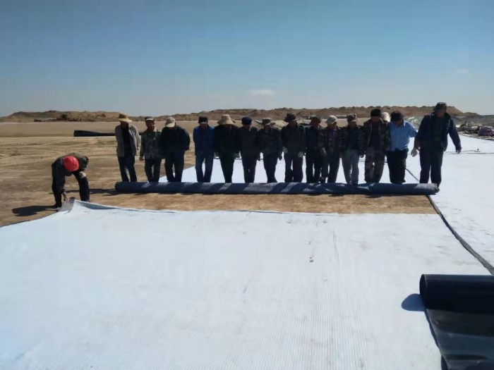 1683278655278325.jpg 9.jpg